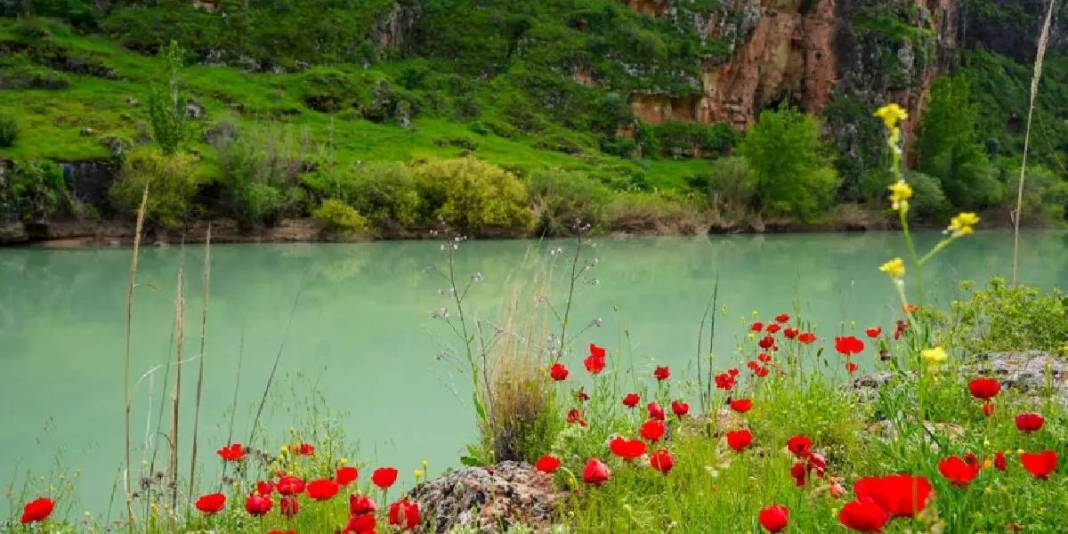 Kaya mezarları ve 5 bin yıllık tarihe ev sahipliği yapıyor! Kızılin Kanyonu bahar renkleriyle boyandı 4